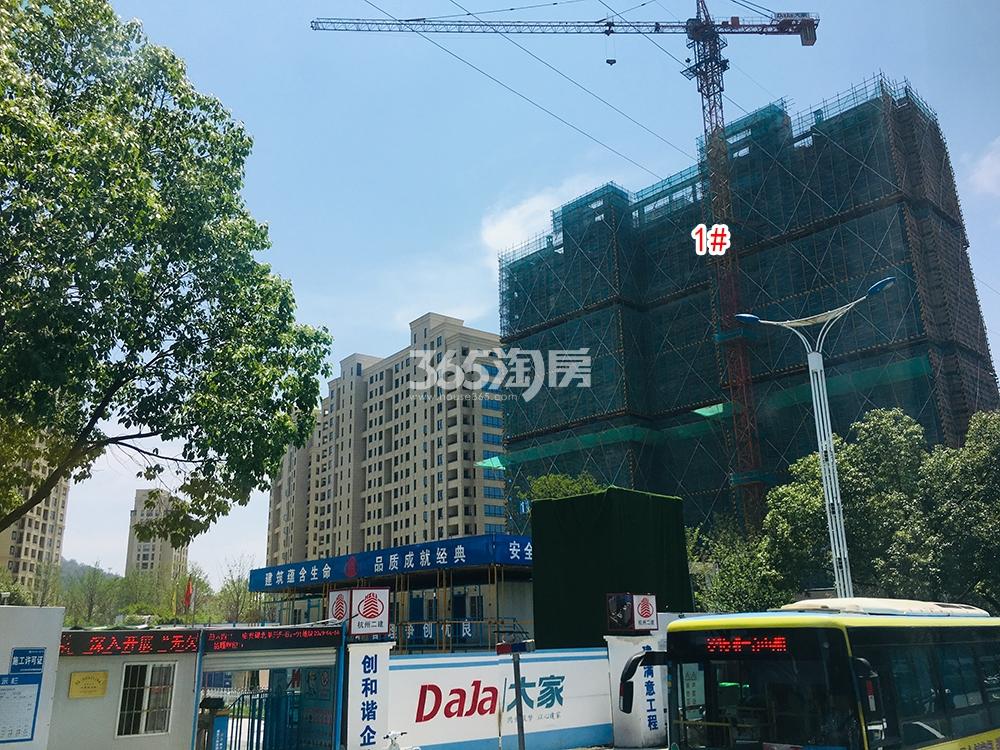大家栖溪工程进展（2019.06）
