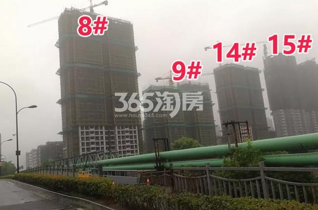 融信江南学府8、9、14、15#实景图 2018年7月摄