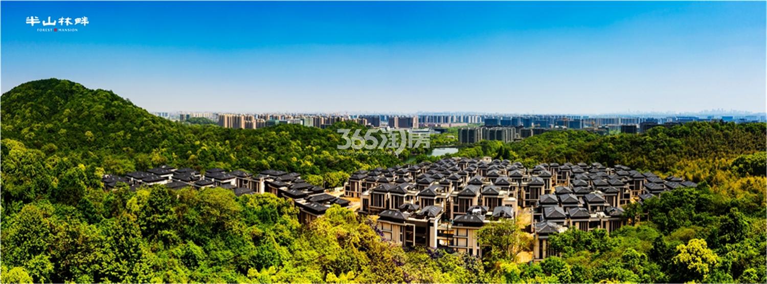 半山林畔实景图