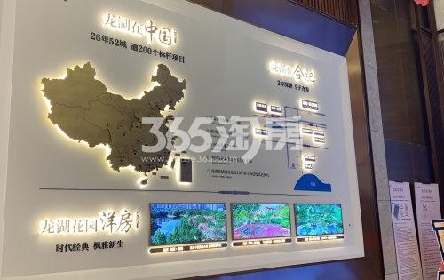 龙湖春江紫宸品牌墙实景图（2020.1.8）