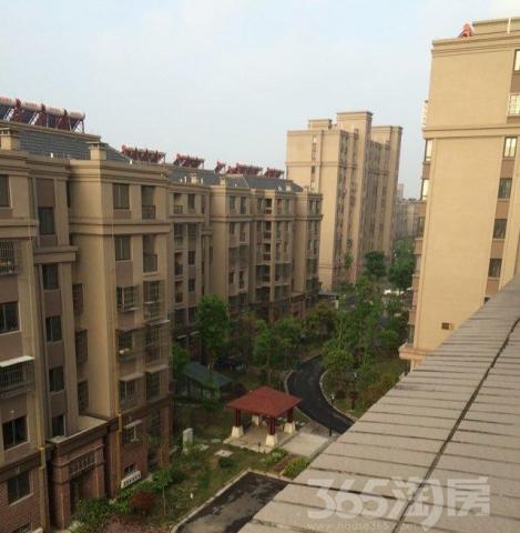 石雪公寓大三房低价出售,户型好!_嘉兴南湖新