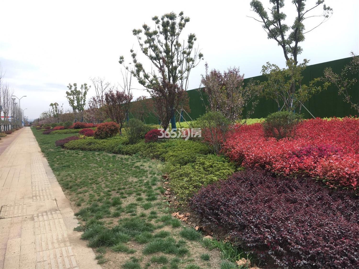 龙湖滨江上城实景图