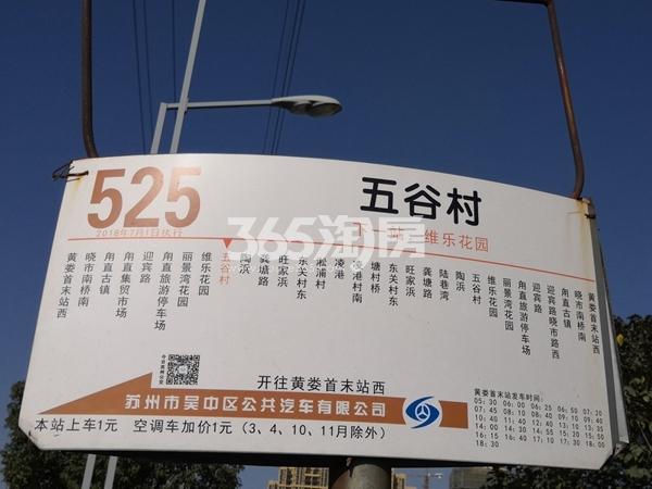印江南花园项目周边公交站点（11.18）