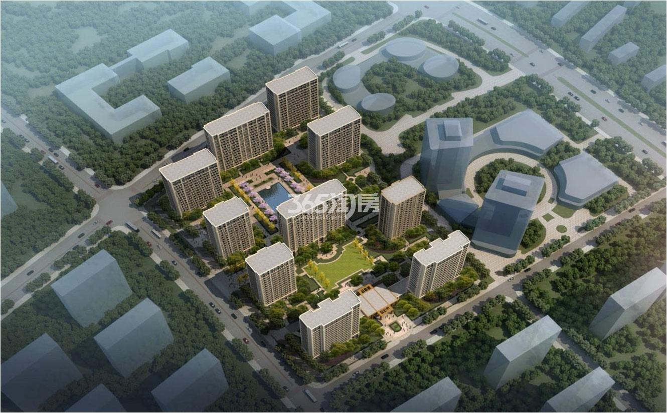 绿城国际社区最新动态