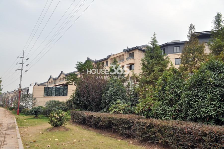 20)_南京五矿九玺台_南京新房网_365淘房