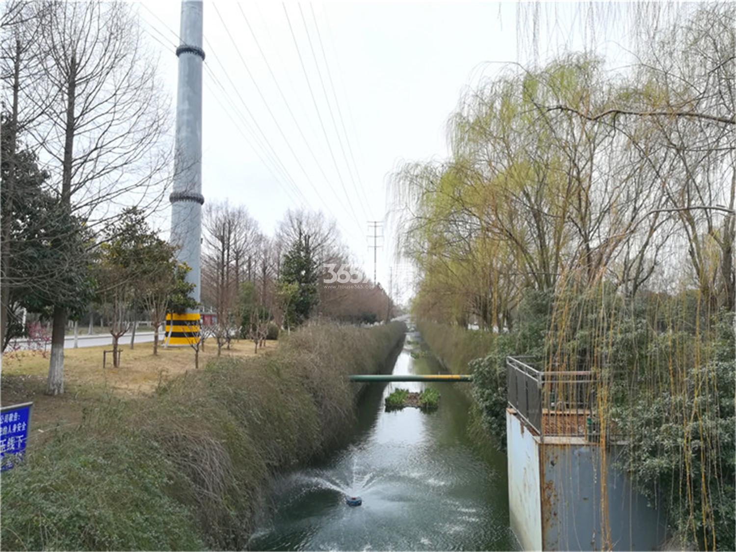 融信城市之窗周边小河(11.21)