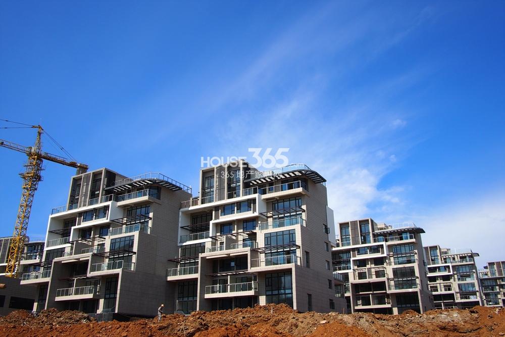 东方熙龙山院在建别墅实景图(11.27)