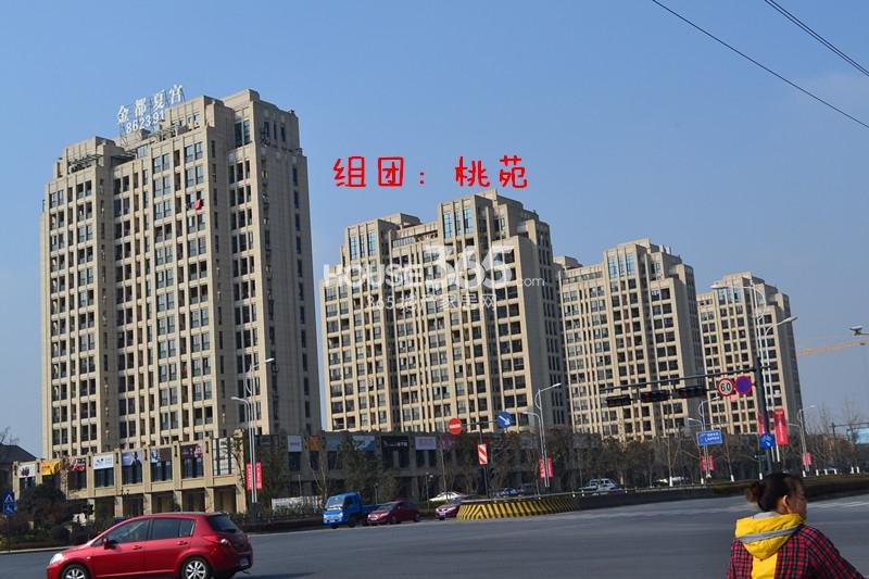 金都夏宫桃苑组团实景图(2014.12)