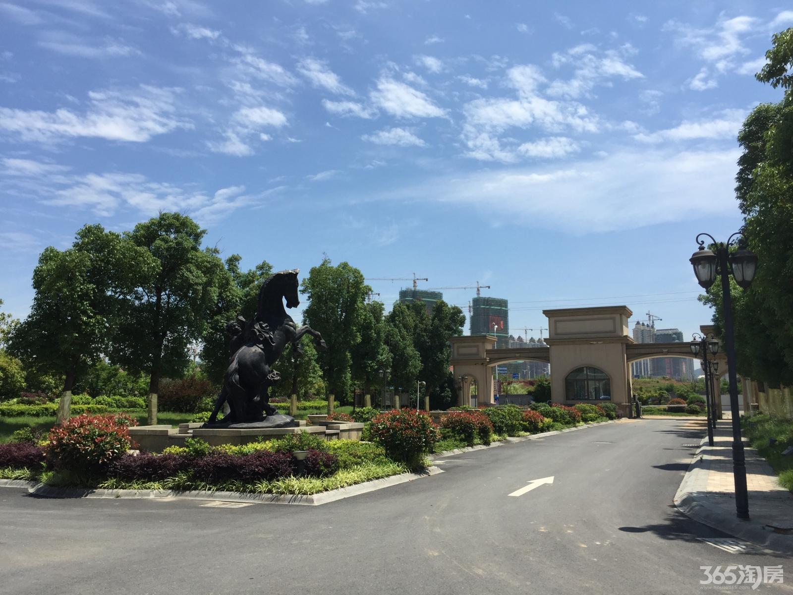 出租仙林东路东紫园独栋别墅6室3厅4卫460㎡整租简装