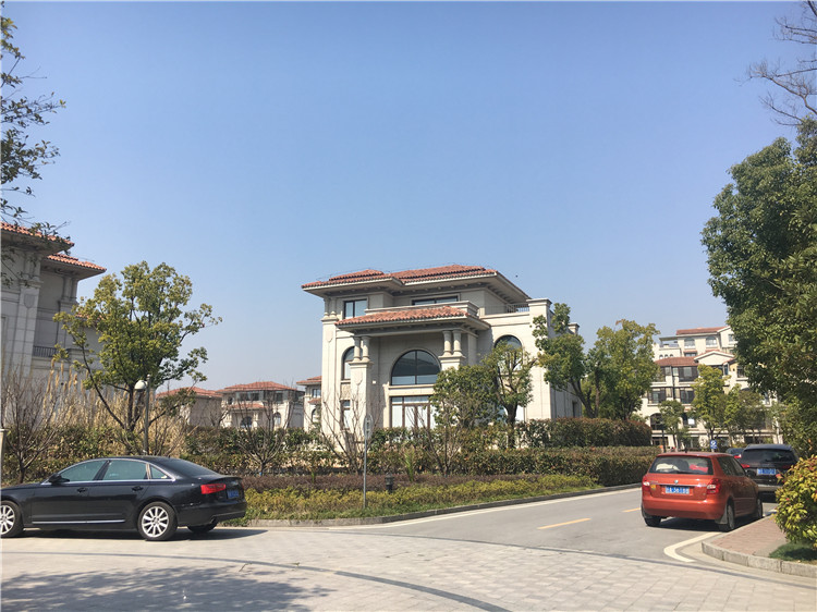 南京新房 江宁区楼盘 九龙湖别墅 (住宅, 别墅
