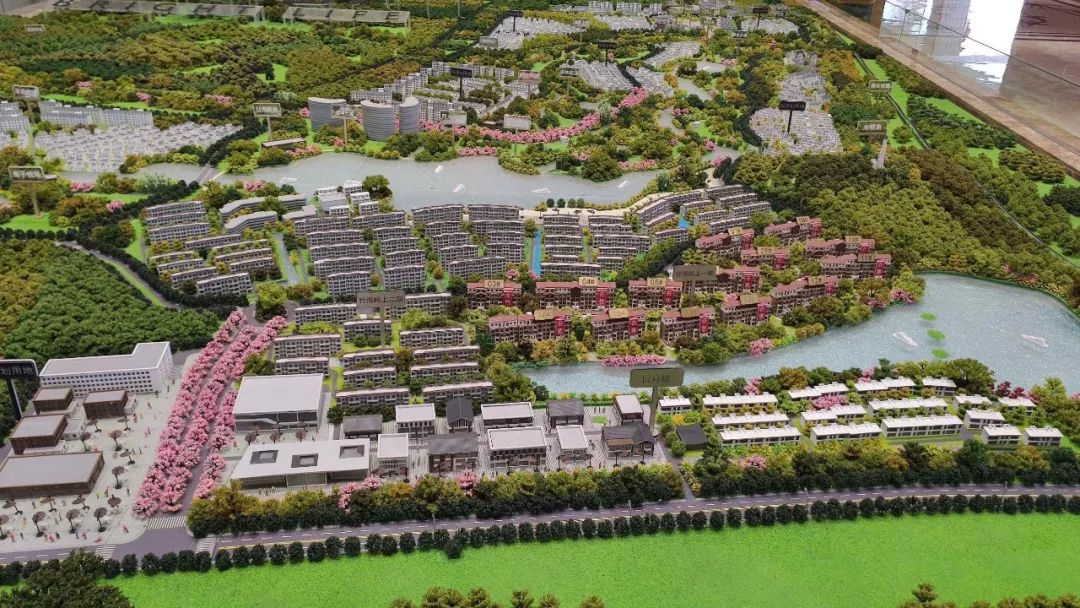 【实探】光明·竹海岭上——首付20多万起的轻文旅小镇,宜兴可能仅此