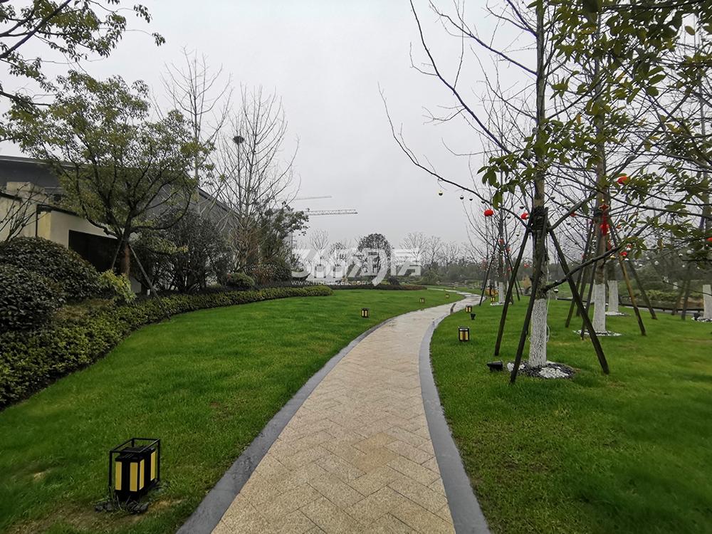 沉香沙岛可以上去吗