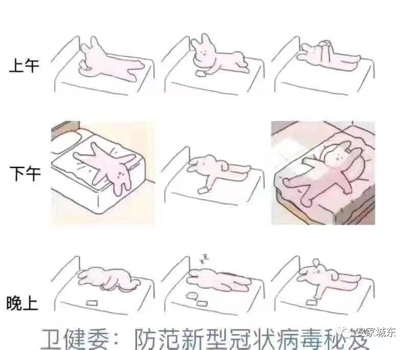疫情当下,我把自己宅成了天才