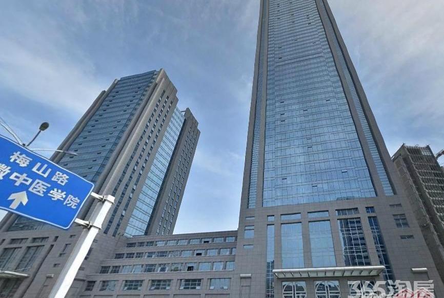 精品写字楼办公室出租 合肥市芜湖路安徽饭店旁安徽国际金融中心ic
