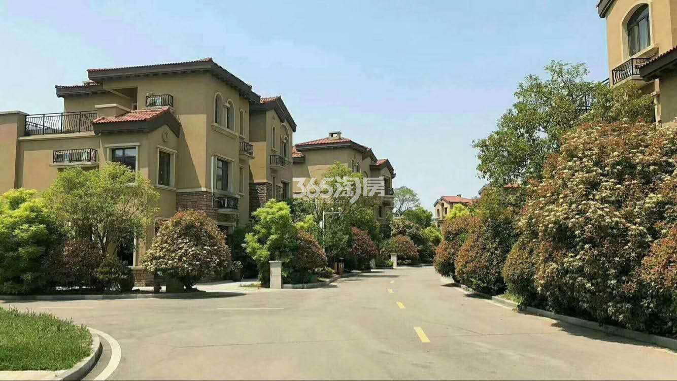 徐州新房 贾汪区楼盘 南湖湾 (别墅)  南湖湾别墅246㎡户型图