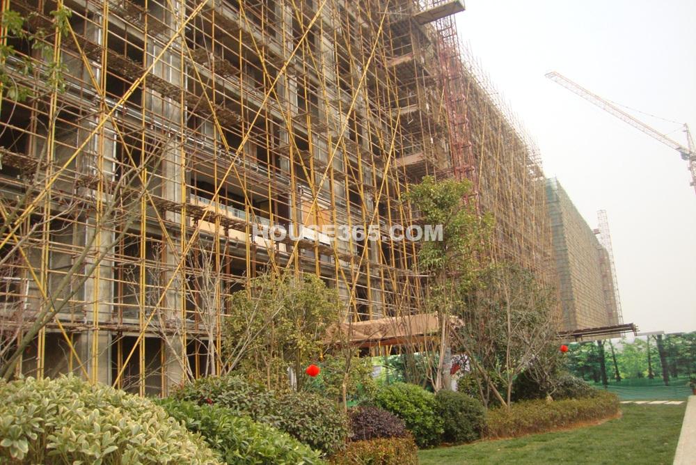 鸟瞰图_南京骋望骊都_南京新房网_365淘房