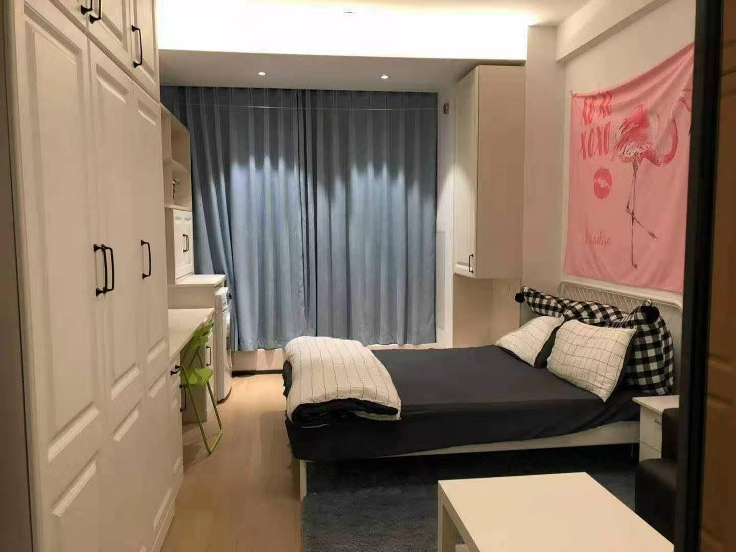 雨花客厅地铁口精装单身公寓 户型方正 朝南拎包入住 无费用