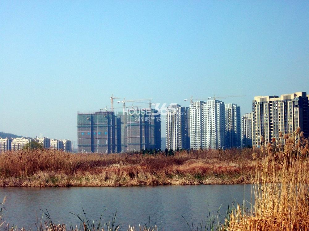 从仙林湖公园看保利罗兰春天楼栋(12.5)