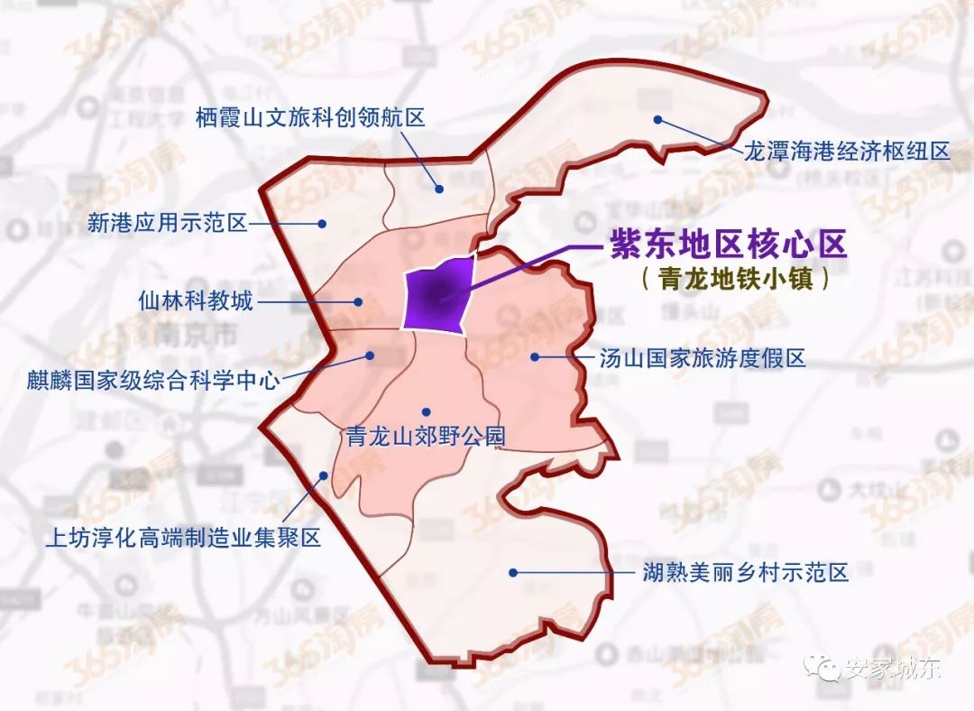 重磅南京紫东核心区发布国际招标公告发展时代来了
