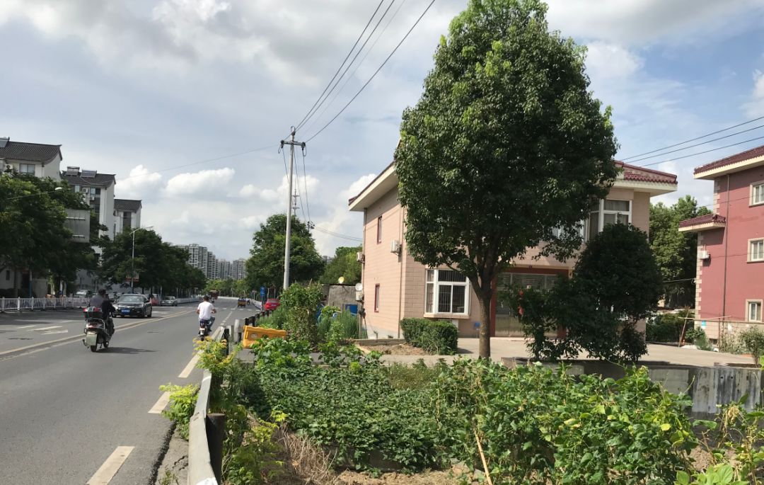 这条路断头6年复工后又断头断头路城市发展抹不去的痛