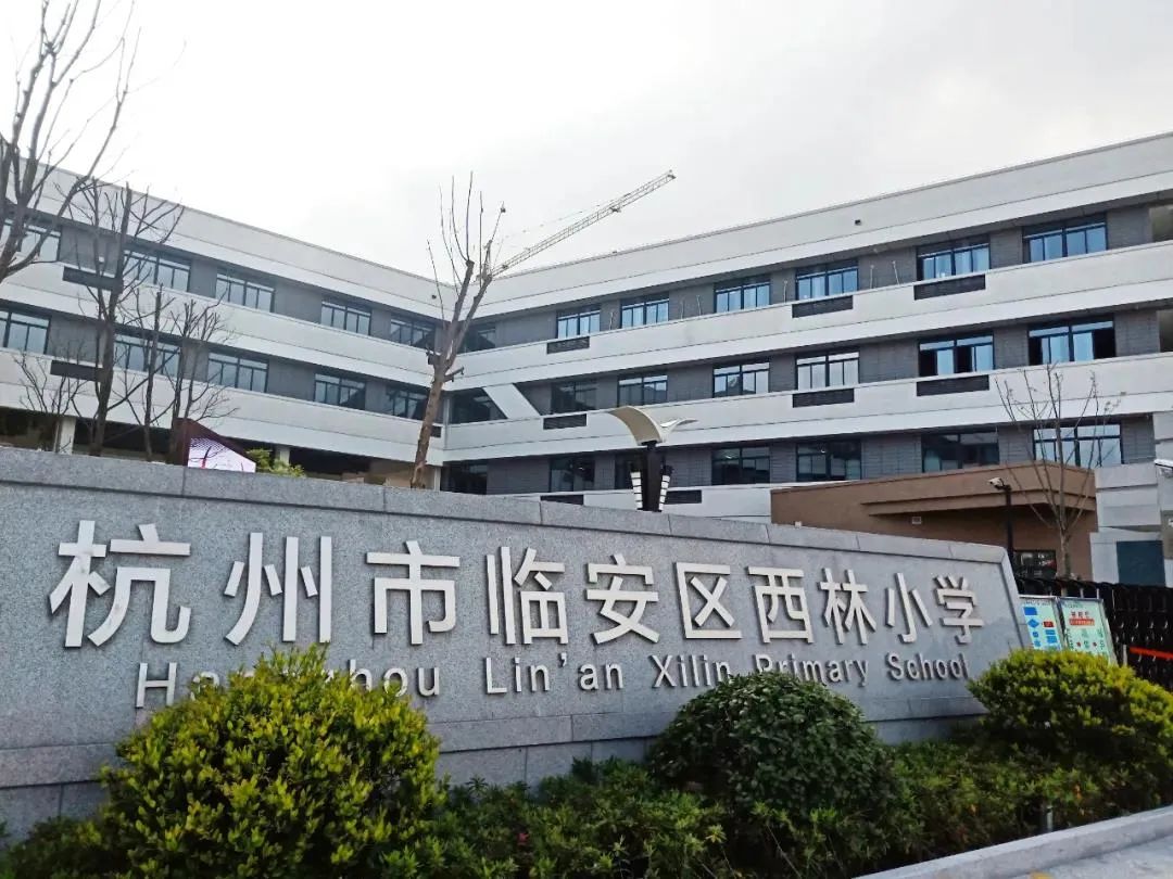 迁址新建后的西林小学,占地面积42亩,总建筑面积21000平米,于2019年10